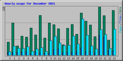 Hourly usage for December 2021