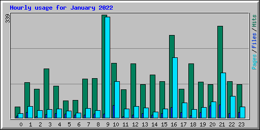 Hourly usage for January 2022