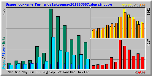 Usage summary for angelakconway201905867.domain.com